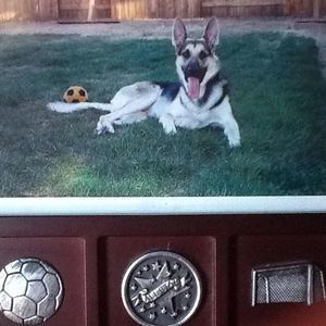 Meet your Posher, Mirna